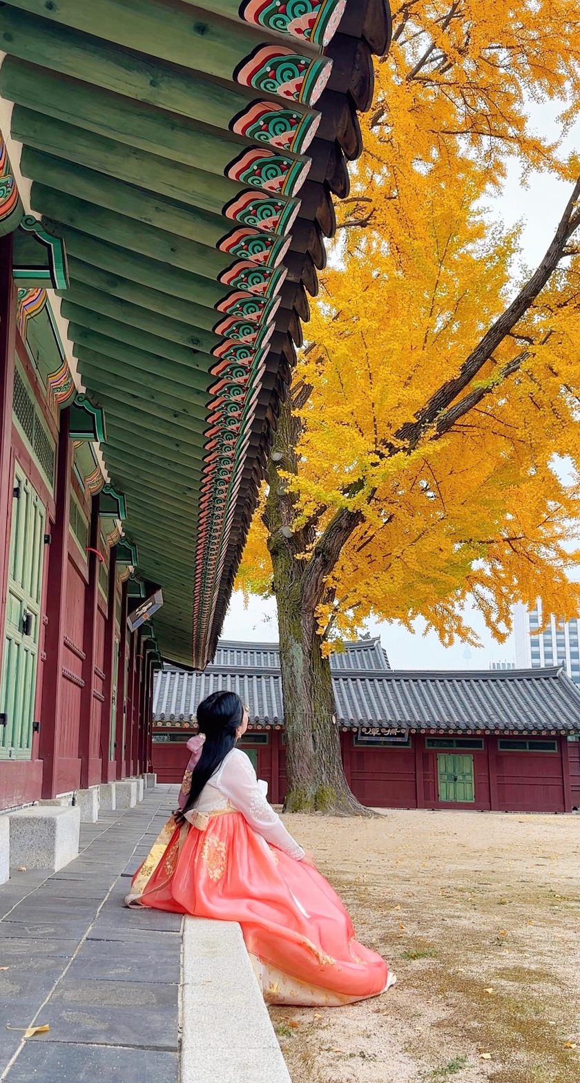 Theo Phương Mai, cung điện Changdeokgung có nhiều cây ngân hạnh đẹp.