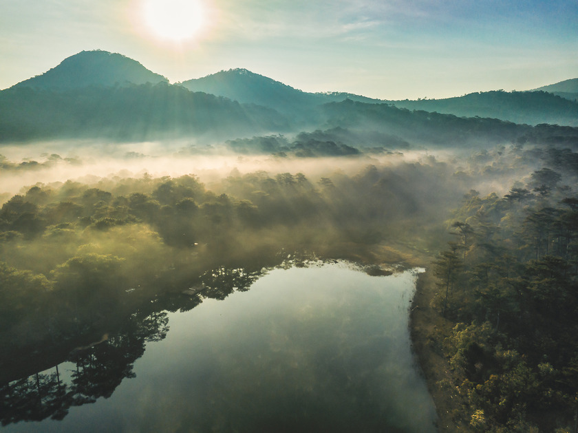 Cách trung tâm Đà Lạt khoảng 7 km, suối Tía nằm trong hệ thống nước của hồ Tuyền Lâm.