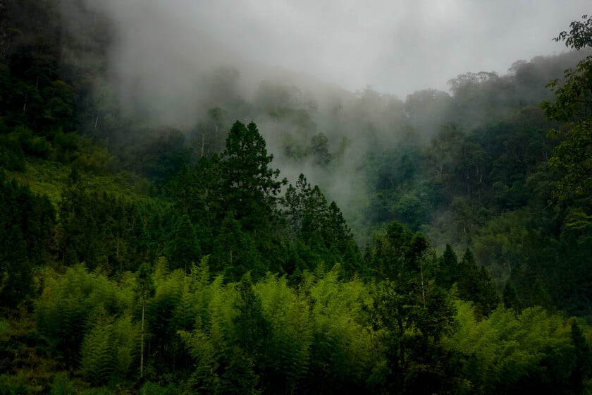 Nơi đây ngập tràn màu xanh của núi rừng và những đám mây bao phủ.