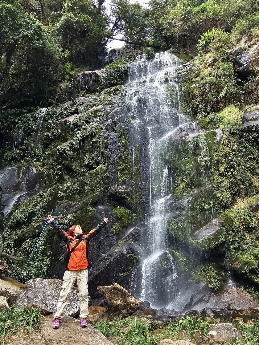 Hành trình trekking Tả Liên Sơn là khoảng thời gian đưa bạn lạc vào “khu rừng cổ tích” ngoài đời thực