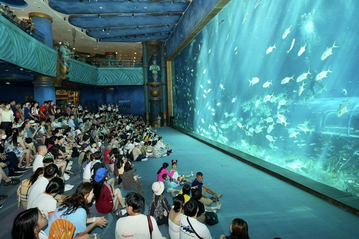 Du khách xem chương trình biểu diễn trong khu thủy cung hình rùa lớn nhất thế giới - Ảnh: HỮU HẠNH
