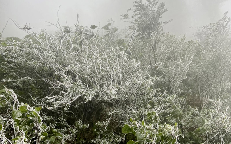 Nhiệt độ giảm sâu, băng tuyết xuất hiện phủ trắng núi rừng. Ảnh: Văn Tuấn.