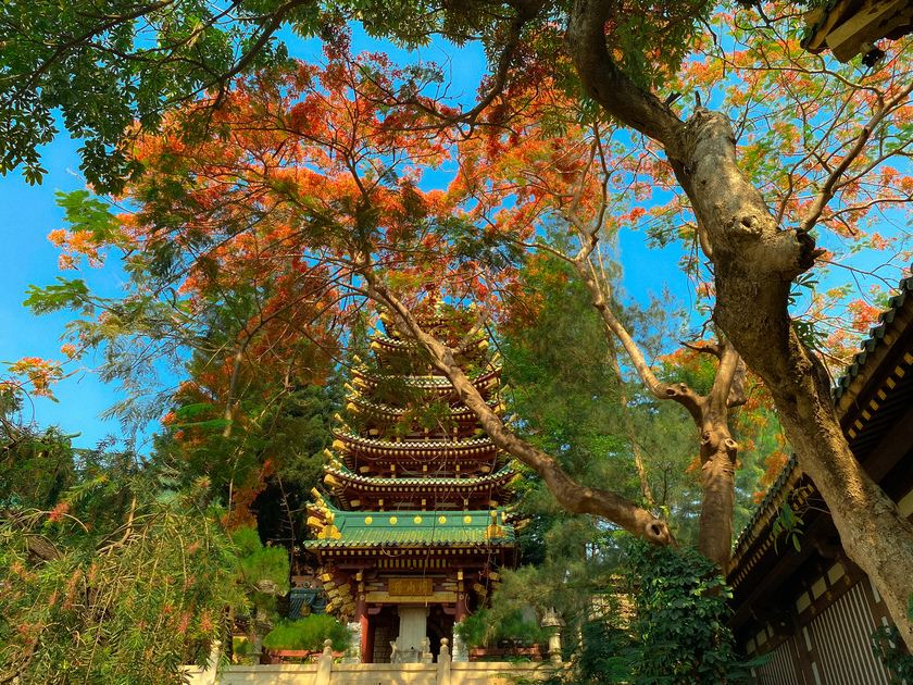 Ghé thăm chùa Minh Thành tại Pleiku mùa hoa phượng đỏ