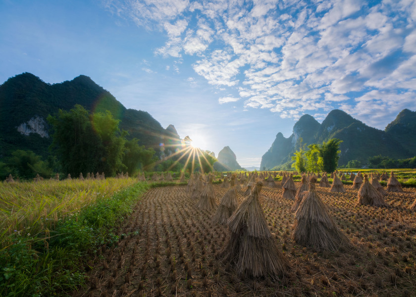 Phong Nậm, Trùng Khánh ngập tràn hương đồng gió nội của những cánh đồng lúa đã gặt, phía xa là dãy núi trập trùng tạo nên khung cảnh đồng quê nên thơ