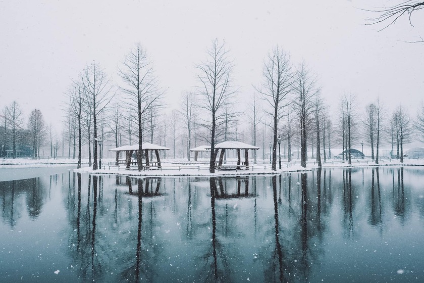 Mùa tuyết ở Hàn Quốc thường xuất hiện vào khoảng cuối tháng 11 hoặc đầu tháng 12.