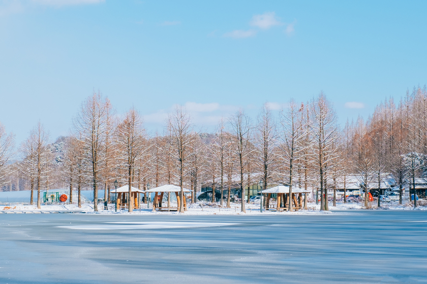 Vào ngày Đông lạnh giá, đất nước Hàn Quốc lại mang trong mình vẻ đẹp cuốn hút lạ kỳ với những bông tuyết lấp lánh như kim cương.