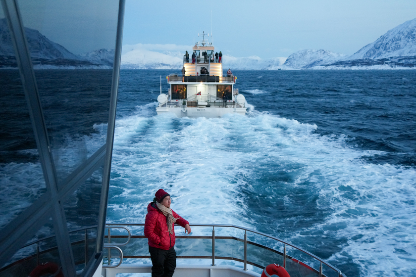 Anh có cơ hội đi du thuyền trên vịnh hẹp Bắc Cực.