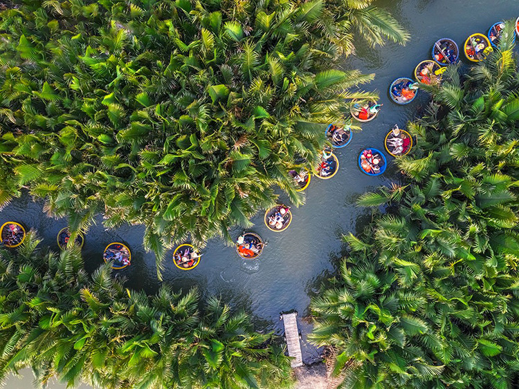 Ghé thăm rừng dừa Bảy Mẫu thư giãn bên rặng dừa nước xanh mướt...