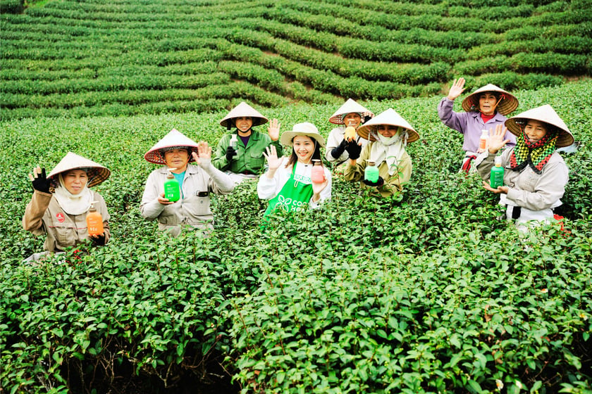 Nguyên liệu chính trong các sản phẩm của nhà Cỏ Cây Hoa Lá là những nông sản Việt Nam được tuyển chọn kĩ lưỡng, đảm bảo nguồn gốc và chất lượng rõ ràng.