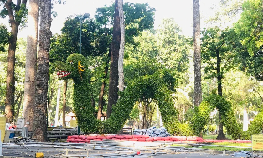 Linh vật rồng được tạo hình bằng cây xanh rất “ngáo” tại Công viên Tao Đàn.