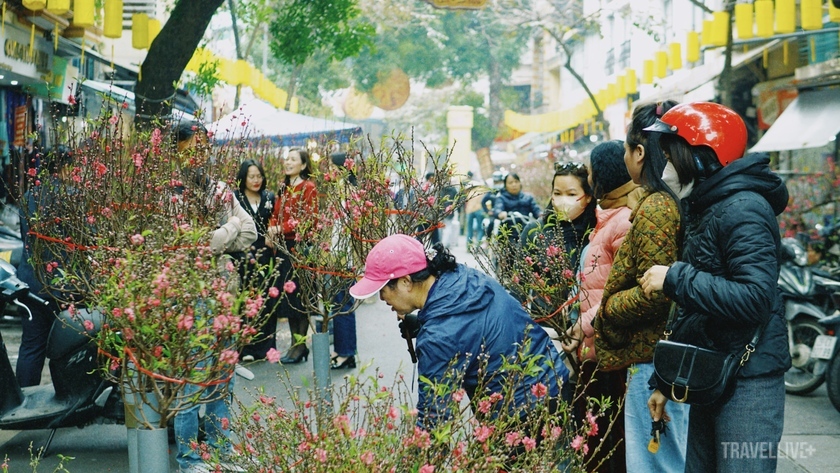Với tuổi đời hơn 100 năm, với nhiều người Hà Nội, chợ hoa Hàng Lược luôn có ấn tượng riêng, có lẽ không chợ hoa nào ở Hà Nội lại mang vẻ đẹp theo thời gian như chợ hoa nằm ở trung tâm phố cổ