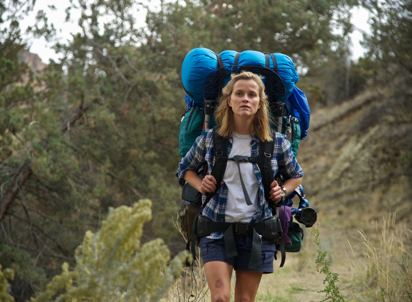 Wild là một câu chuyện có thật, tái hiện chuyến hành trình đi bộ dài 1.770 km dọc theo đường mòn Pacific Crest Trail của tác giả Cheryl vào năm 1995.