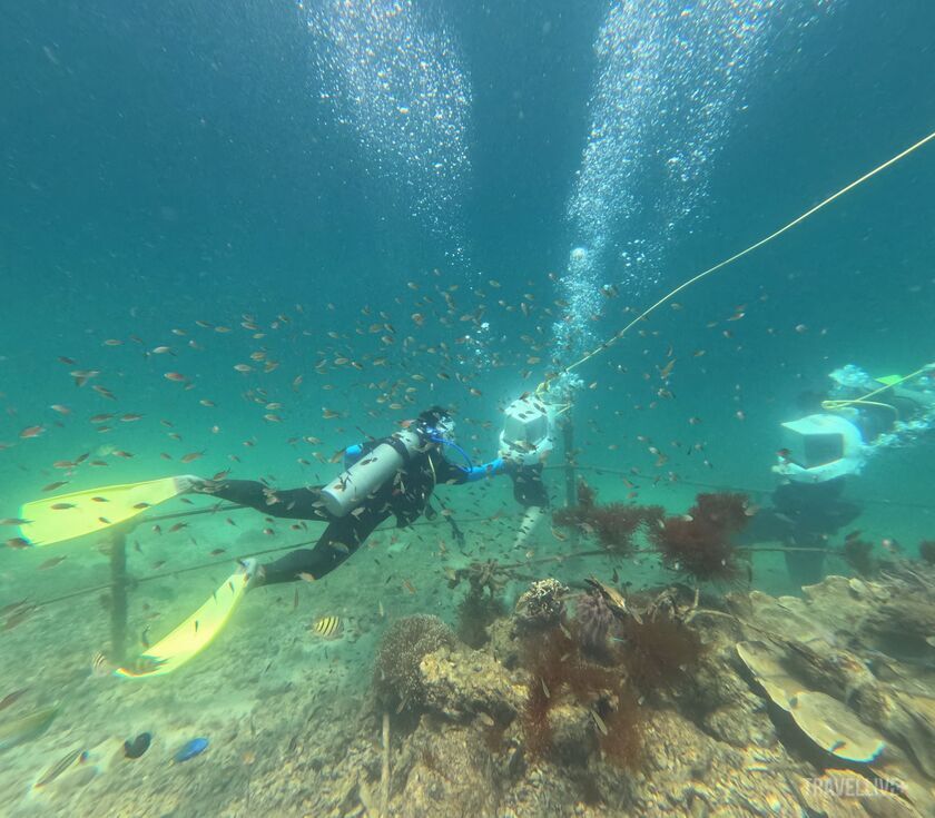 Điểm độc đáo nhất của Sepanggar chính là trải nghiệm đi bộ dưới biển, cho phép du khách khám phá thế giới đại dương đầy mê hoặc mà không cần bất kỳ kỹ năng lặn nào