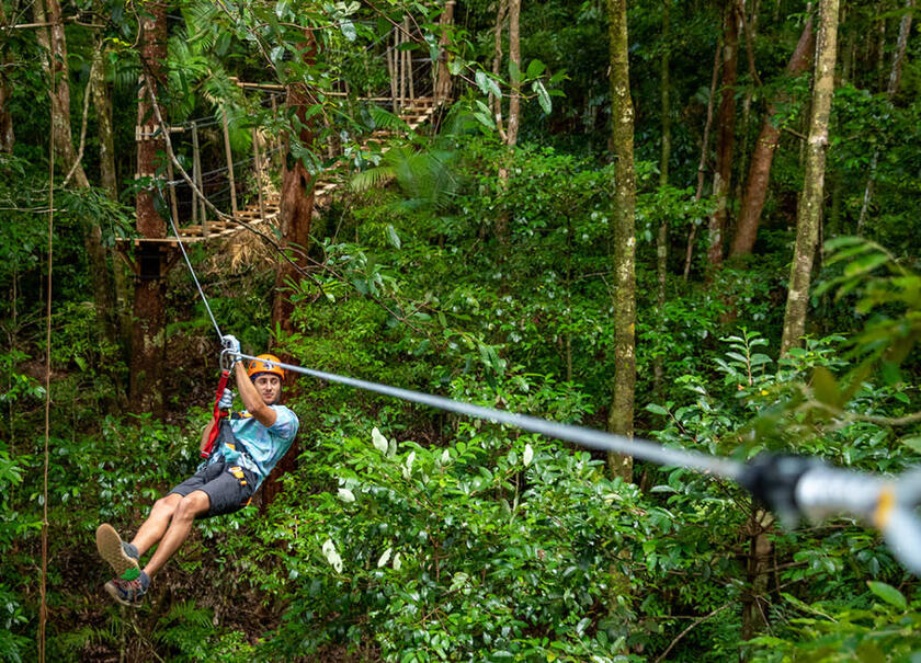 Hoạt động trượt zipline là phần không thể thiếu trong chuyến du lịch đến rừng Daintree