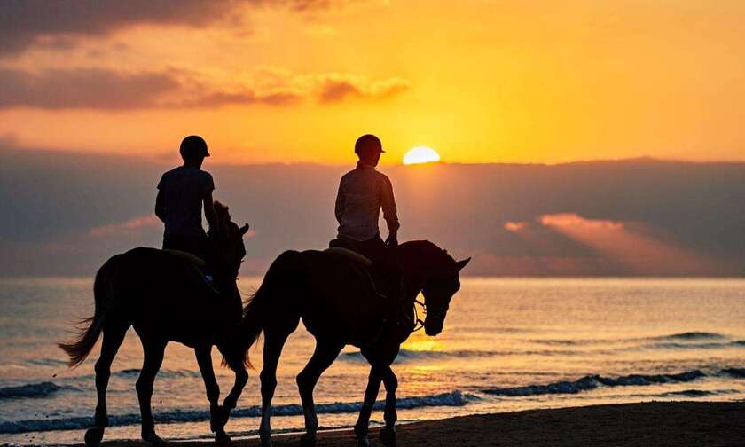 Cưỡi ngựa và ngắm cảnh bên bờ biển khiến nhiều du khách thích thú