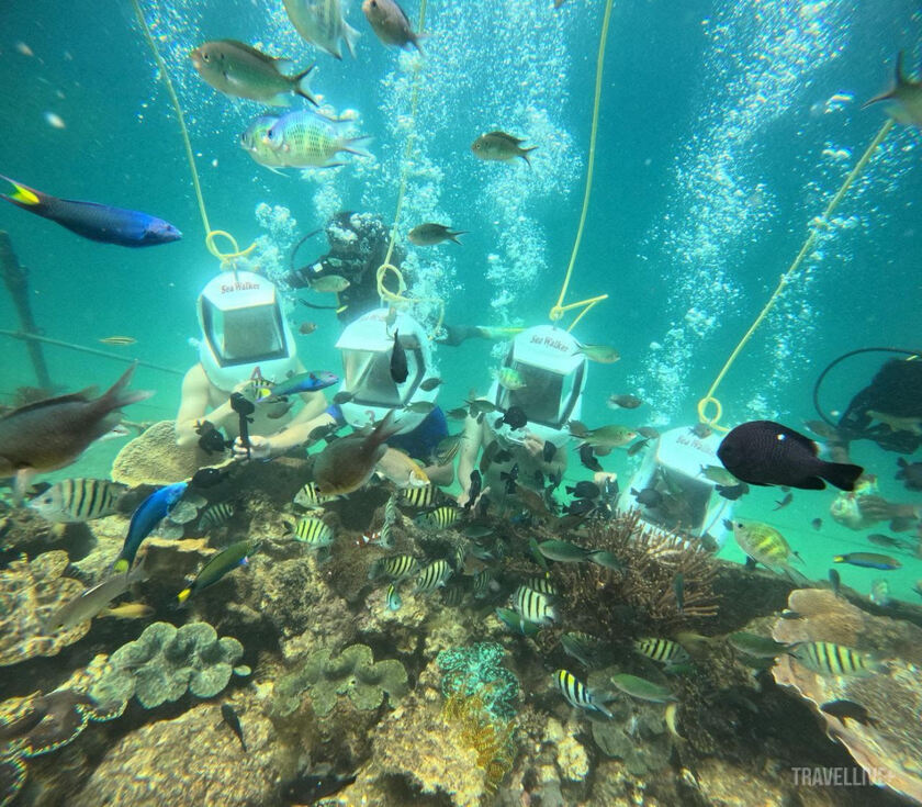 Đi bộ dưới đáy biển là một trong những trải nghiệm hấp dẫn khi đến đảo Sepangar, Malaysia