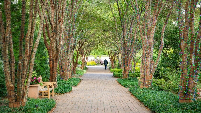 Atlanta Botanical Garden có diện tích 12 ha, hiện đang sở hữu bộ sưu tập vô số loài cây đẹp và các triển lãm đầy ngoạn mục