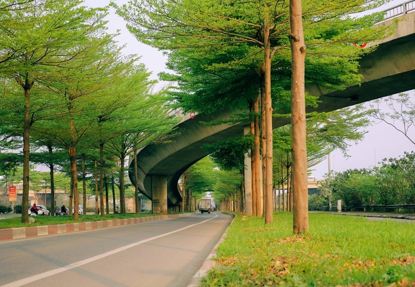 Địa điểm nổi tiếng tại nút giao quốc lộ 5 đi Bắc Ninh - Bắc Giang, tiếp giáp giữa quận Long Biên và huyện Gia Lâm (Hà Nội), nơi được mệnh danh là “con đường Hàn Quốc” thu nhỏ.