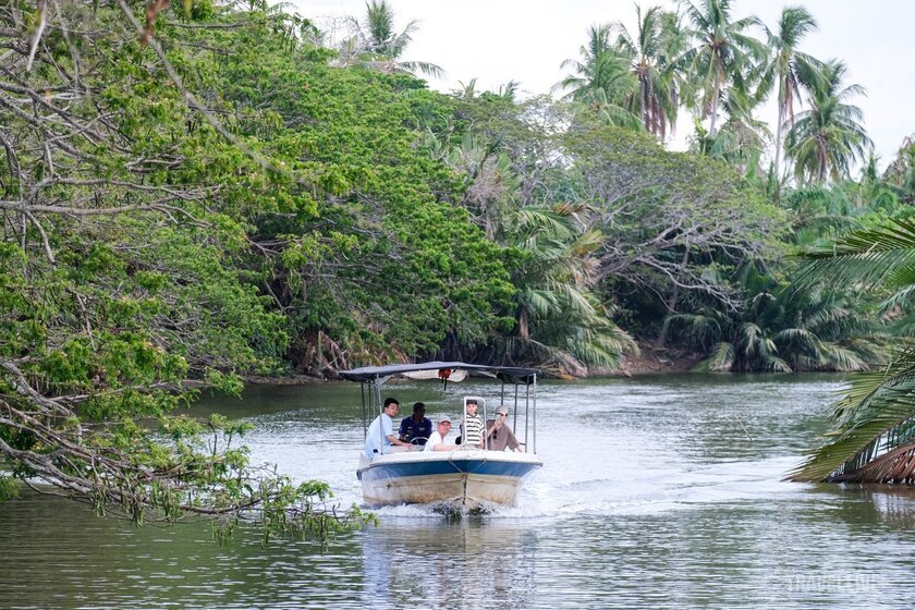 Để không ảnh hưởng đến môi trường sống tự nhiên của khỉ, thuyền chỉ dừng lại bên bờ để du khách ngắm nhìn khoảng 15 phút