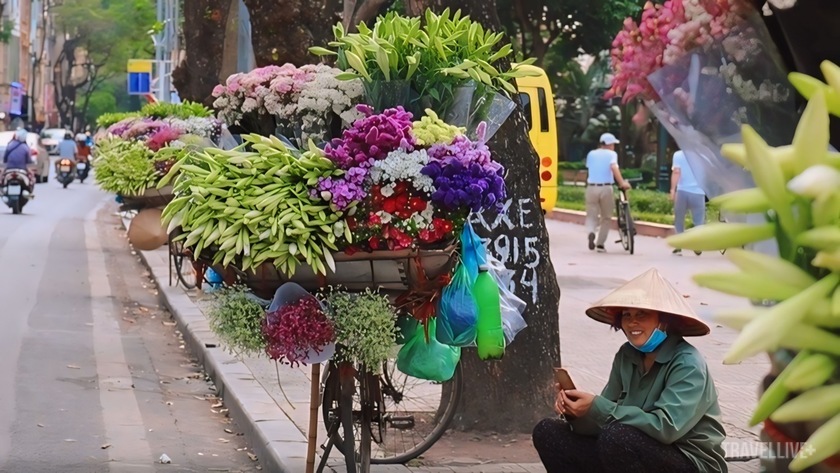 Những con phố Thụy Khuê, Phan Đình Phùng, Láng Hạ, Thanh Niên, Giảng Võ... như bừng sáng với sắc trắng tinh khôi của hoa loa kèn.