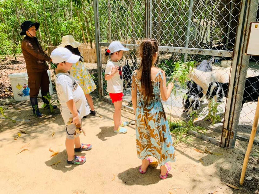 Các em nhỏ thích thú với chương trình tham quan trang trại, nhặt trứng, trồng rau, cho ăn hàng ngày tại The Anam Cam Ranh