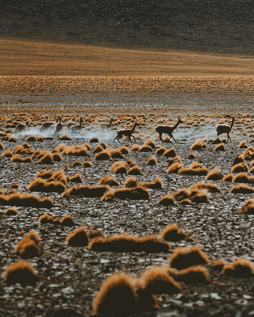 Đây là sa mạc lâu đời nhất trên Trái Đất