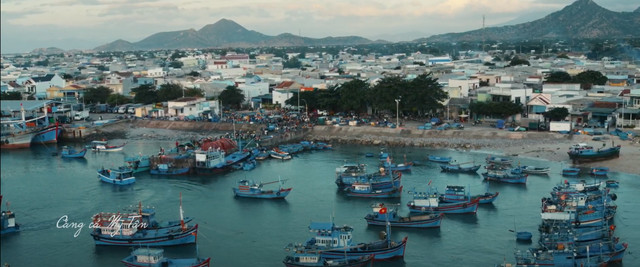 Cảng cá Mỹ Tân hiện lên bình yên trong 