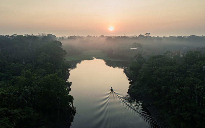 Buổi sáng ở rừng Amazon, Brazil.