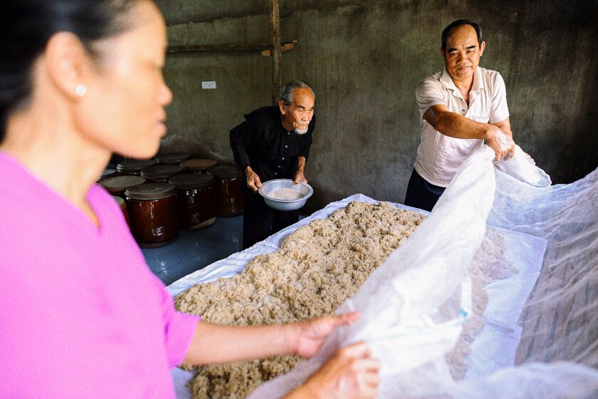 Những nghệ nhân nấu rượu tại Phú Lễ chăm chút từng hạt nếp, viên men, từng động tác để chưng cất được “danh tửu” vang danh trăm năm qua.