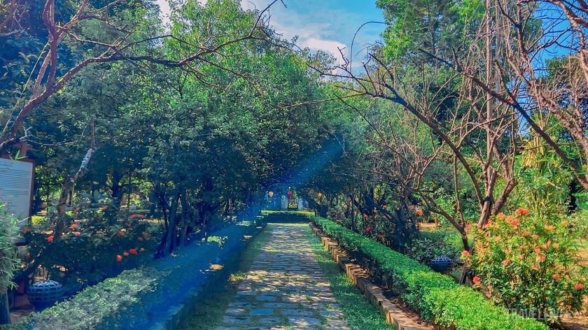 Con đường đất dài khoảng 34 m dẫn vào nhà vườn An Hiên.