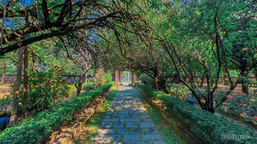 Con đường nhỏ rợp bóng cây xanh dẫn vào nhà vườn An Hiên.