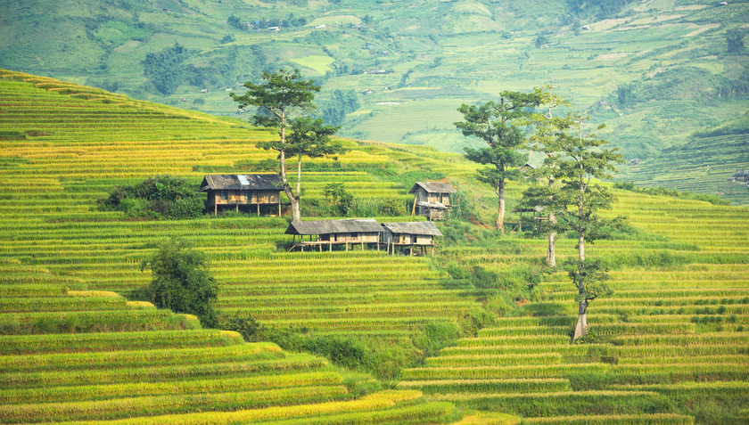 Sapa là vùng đất tiềm năng, sở hữu nhiều lợi thế phát triển du lịch. Mục tiêu tới năm 2030, Sapa dự kiến đón khoảng 11 triệu lượt khách du lịch