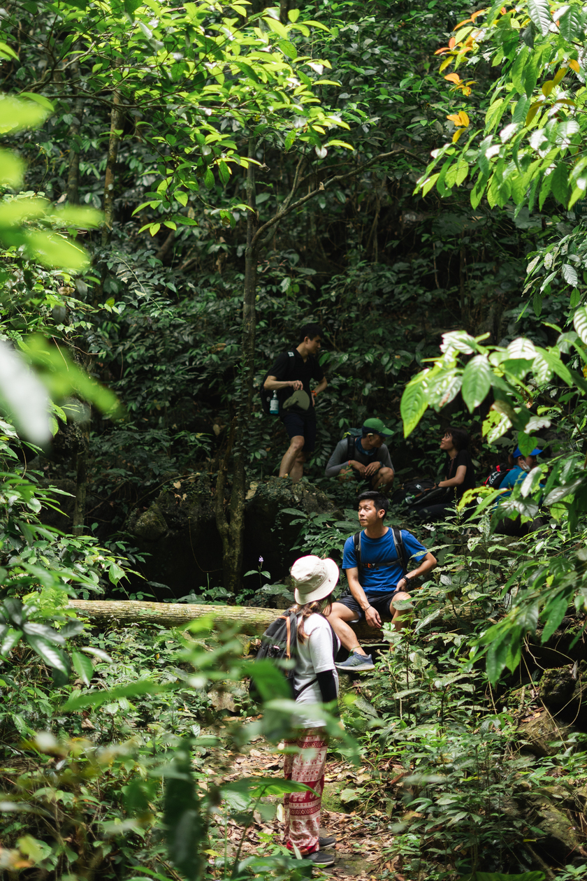 Cung đường trekking đầy thử thách trong Vườn quốc gia Cát Bà.