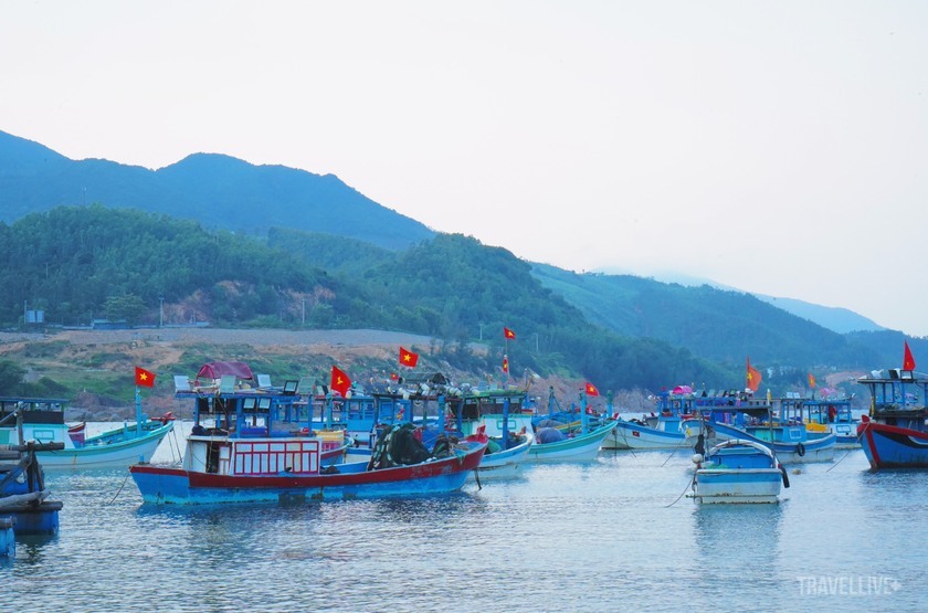 Với vẻ đẹp hoang sơ và không gian yên tĩnh, Bãi Xếp được nhiều du khách nước ngoài lựa chọn làm điểm dừng chân khi đến Quy Nhơn.
