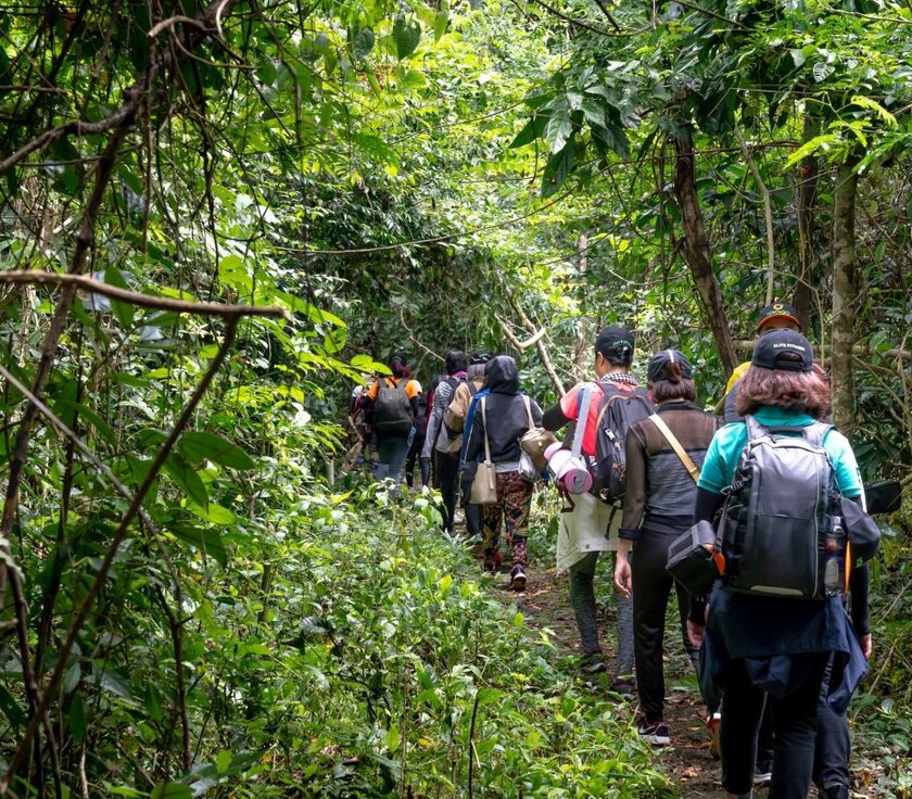 Khí hậu mát mẻ là điều kiện thuận lợi cho du khách trải nghiệm trekking tại đây