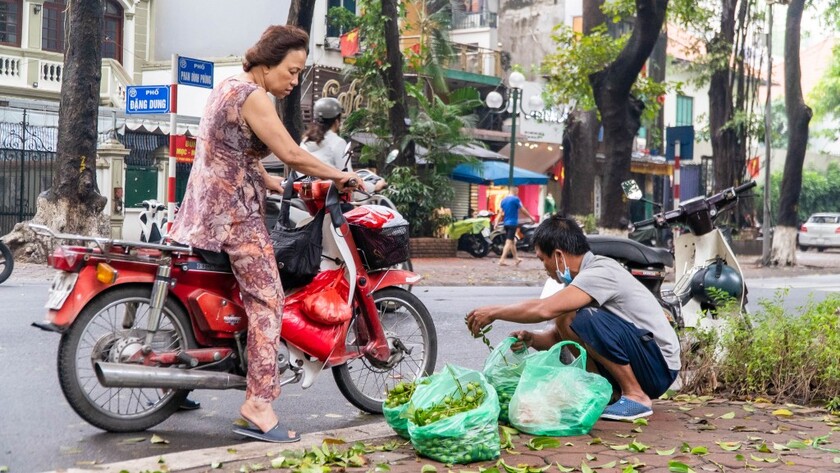 Sấu được bày bán ở khắp đường phố, vỉa hè