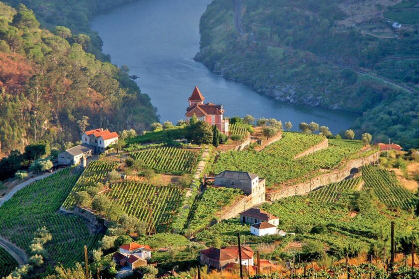 Những vườn nho bậc thang bên cạnh sông Douro.