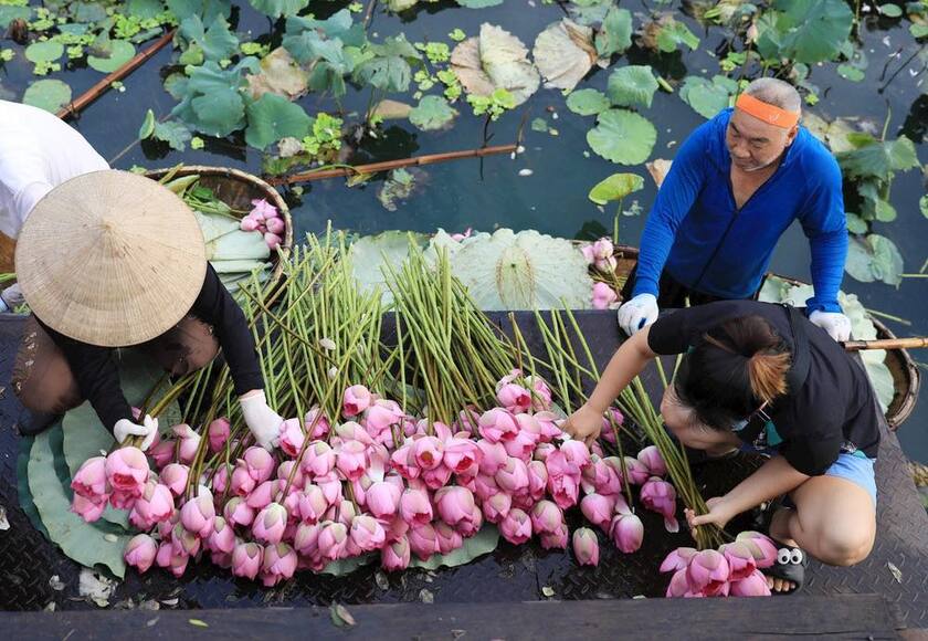 Hình ảnh người dân tham gia vào công tác chuẩn bị trong lễ hội.