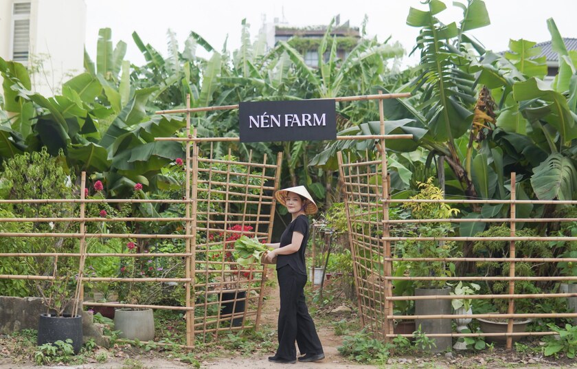 Nén Farm nằm ngay bên cạnh Nén Danang, là nơi cung cấp nguyên liệu xanh sạch cho nhà hàng