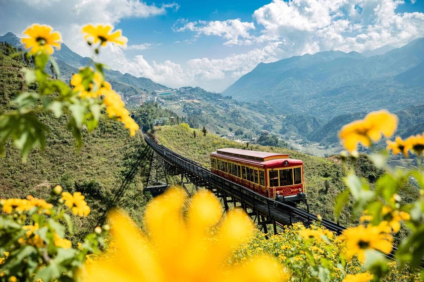 Tàu hỏa leo núi Mường Hoa được đưa vào sử dụng năm 2018 với lộ trình di chuyển từ thị trấn Sapa tới ga cáp treo Fansipan