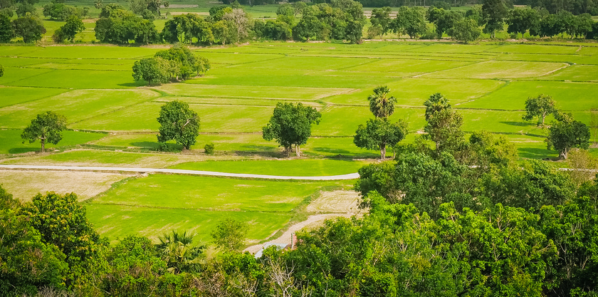 Cánh đồng Tà Pạ - An Giang