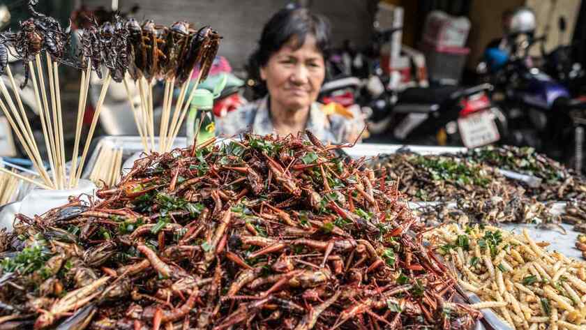 Cơ quan quản lý thực phẩm của Singapore mới đây đã cấp phép 16 loài côn trùng ăn được cho việc bán và tiêu thụ côn trùng trong nước