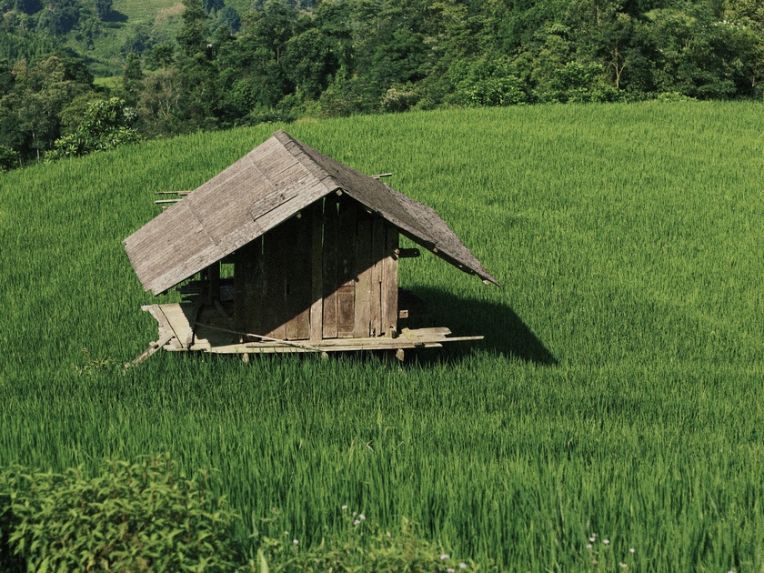 Do ít người biết đến nên Nậm Cang vẫn giữ được vẻ đẹp hoang sơ, bình yên