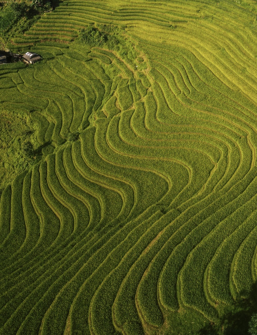 Nậm Cang như một bức tranh sơn thủy hữu tình giữa lòng đại ngàn