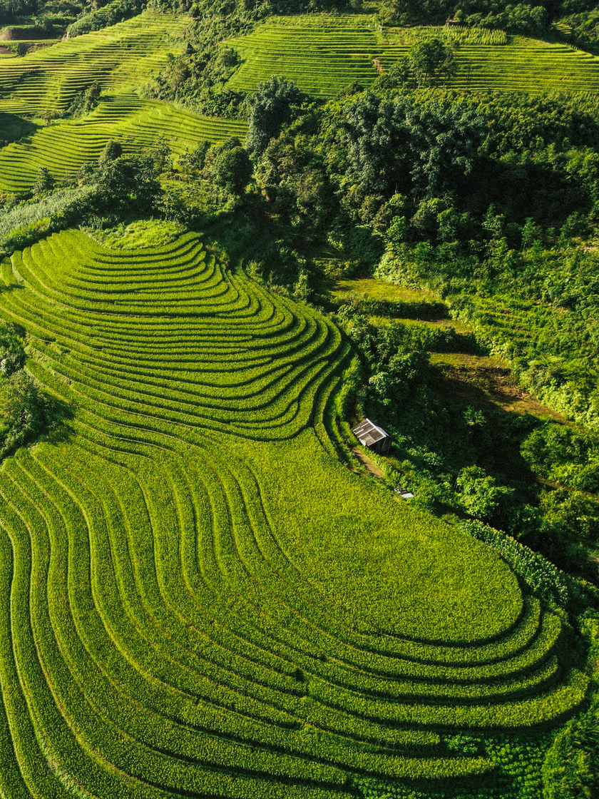 Nậm Cang mang một vẻ đẹp hoang sơ và quyến rũ