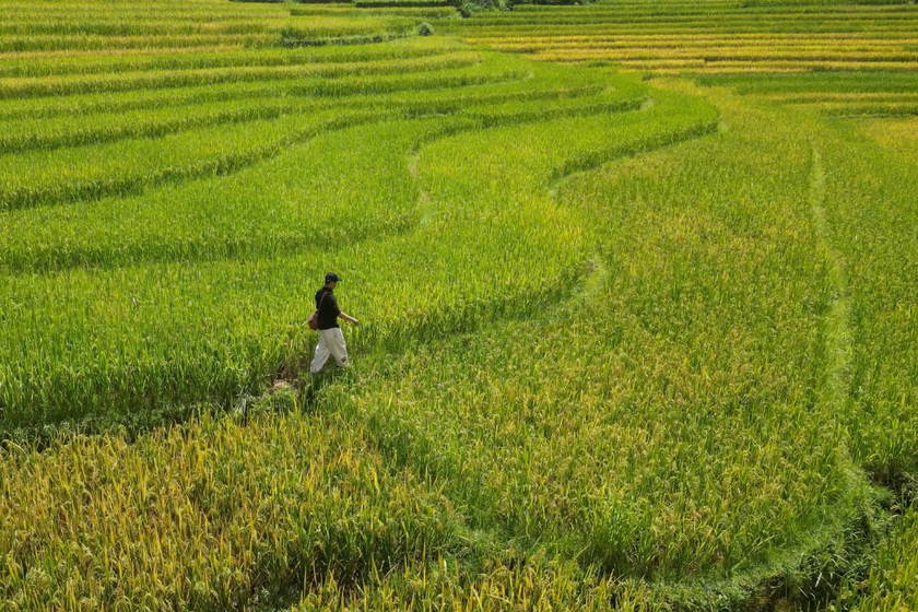 Nậm Cang theo tiếng địa phương có nghĩa là “nước ở đầu nguồn”