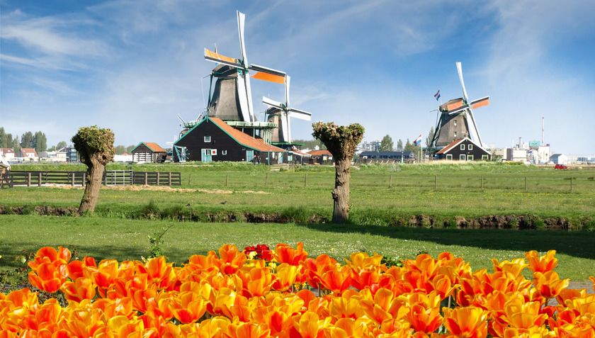 Zaanse Schans là một quần thể văn hóa bao gồm nhiều cối xay gió cổ và những bảo tàng lưu giữ các nét văn hóa truyền thống của người Hà Lan