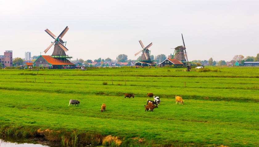 Vẻ đẹp cổ tích của Hà Lan ở ngôi làng cối xay gió Zaanse Schans