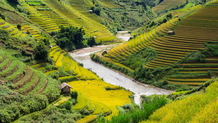 Trải qua nhiều thế hệ những người con Tây Bắc đã biến những ngọn núi khô cằn sỏi đá thành những thửa ruộng màu mỡ