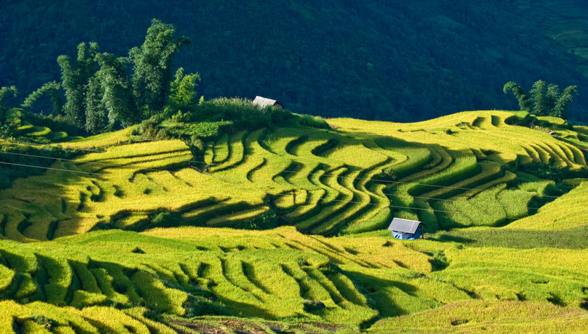 Mù Cang Chải trong lòng mỗi người có lẽ là những cảm nhận khác nhau, nhưng suy cho cùng thì cũng vì tình yêu dành cho mảnh đất thật thơ